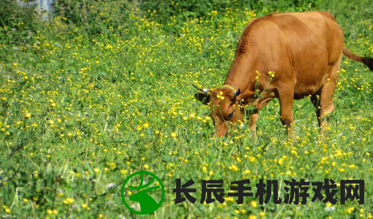 (萌宠游戏推荐)萌宠需要养游戏，深度探索与体验