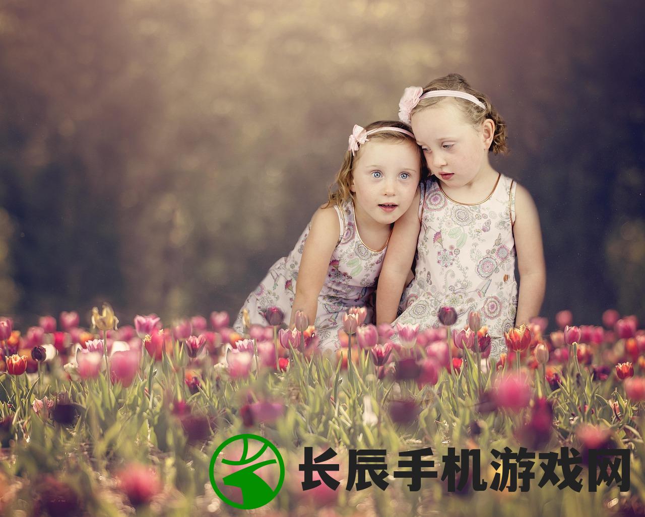 (月之血姬怎么打)关于血之诗月之蚀是否为买断制的探讨