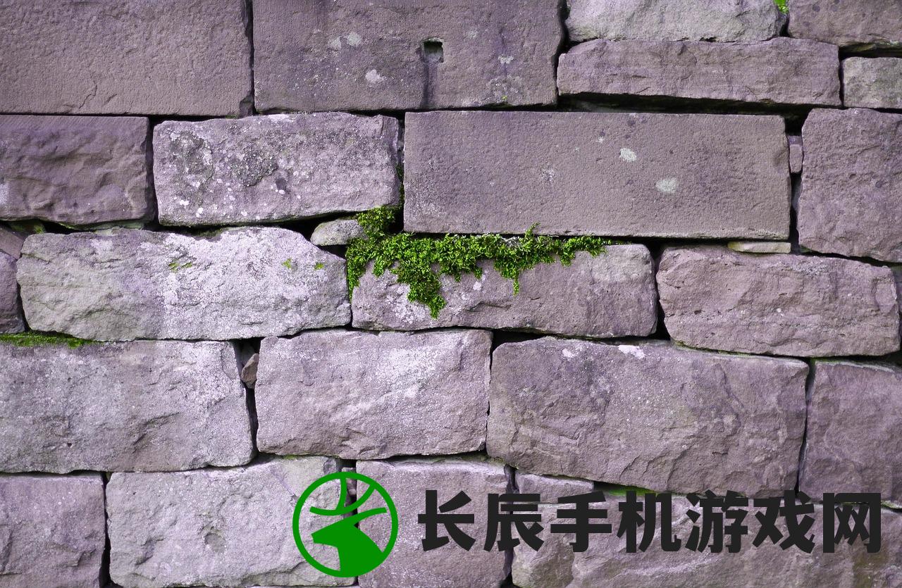 (长生祭游戏攻略第二章详细解析)长生祭游戏攻略大全及常见问答解析