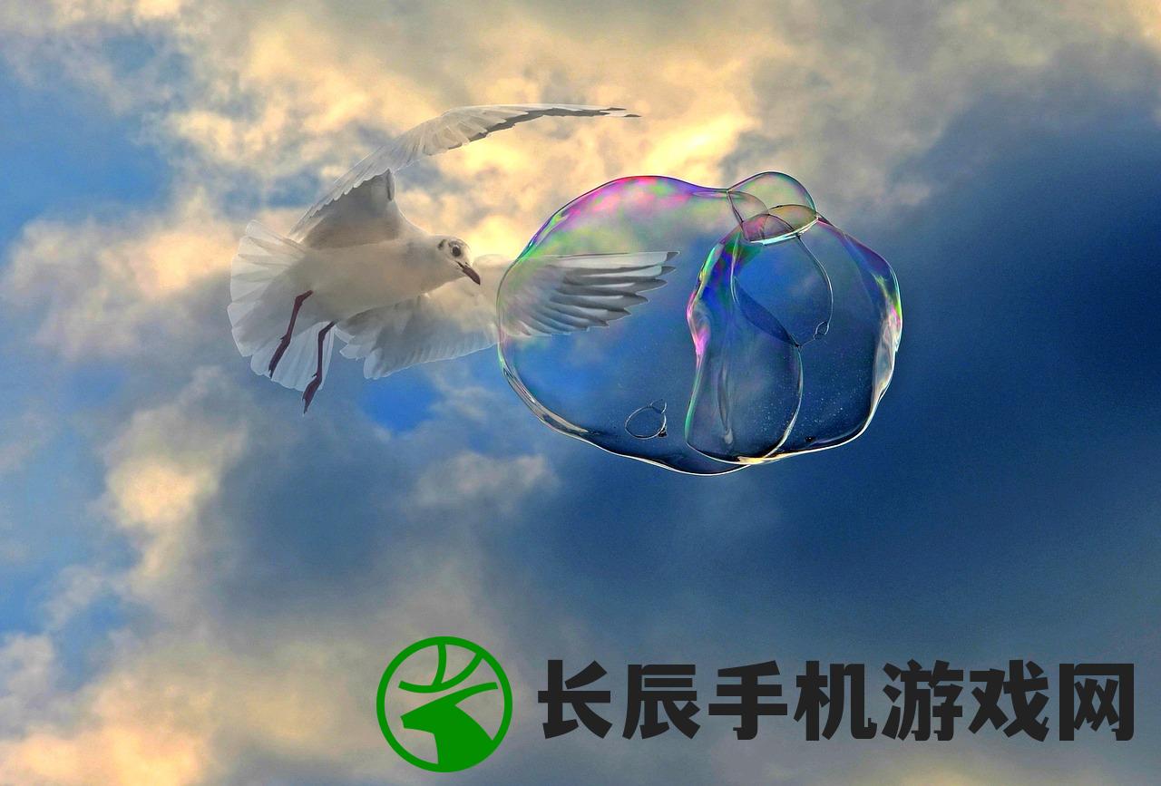 (我的快意人生丁公子)我的快意人生，丁公子的故事与启示