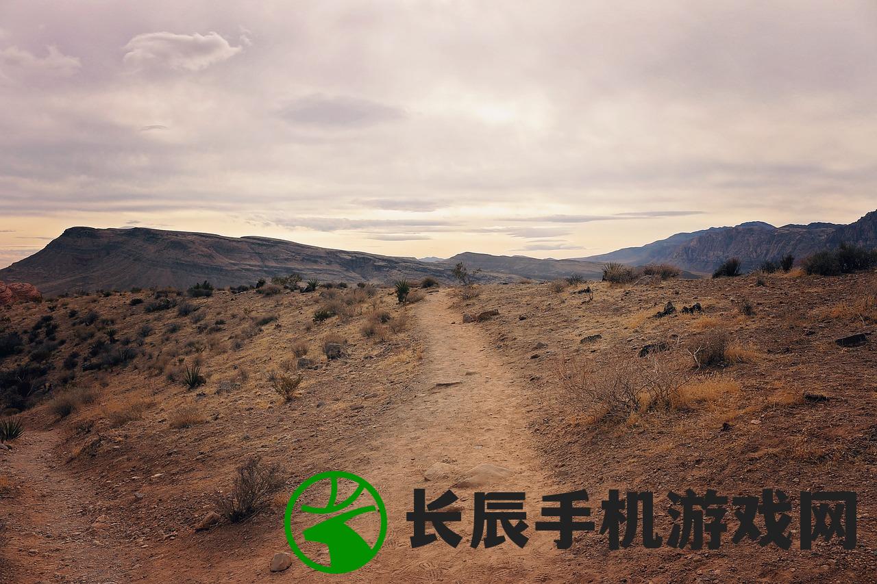 (勇者孤独下一句是什么)勇者孤独，探索内心与外在的冒险之旅