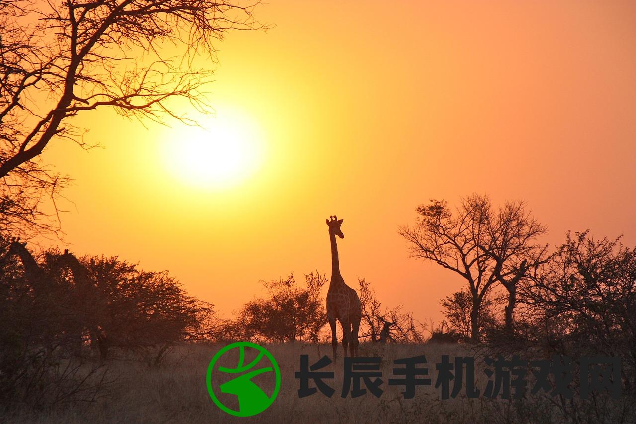 (夕阳染红的街道游戏攻略)夕阳染红的街道游戏，探索与赏析