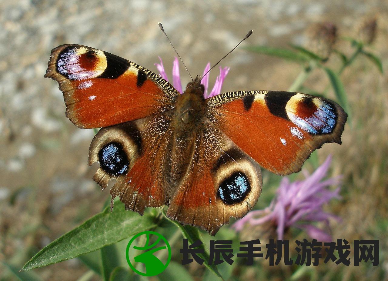 (爱宠大机密角色介绍英语)爱宠大机密角色深度解析与介绍