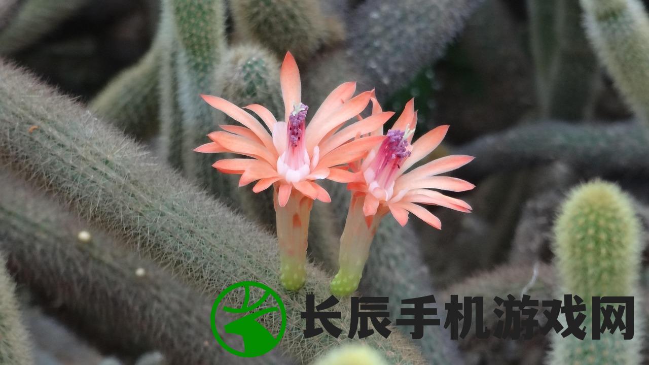 (无间道观后感500字)无间道，深入人心的港片经典之作的观后感