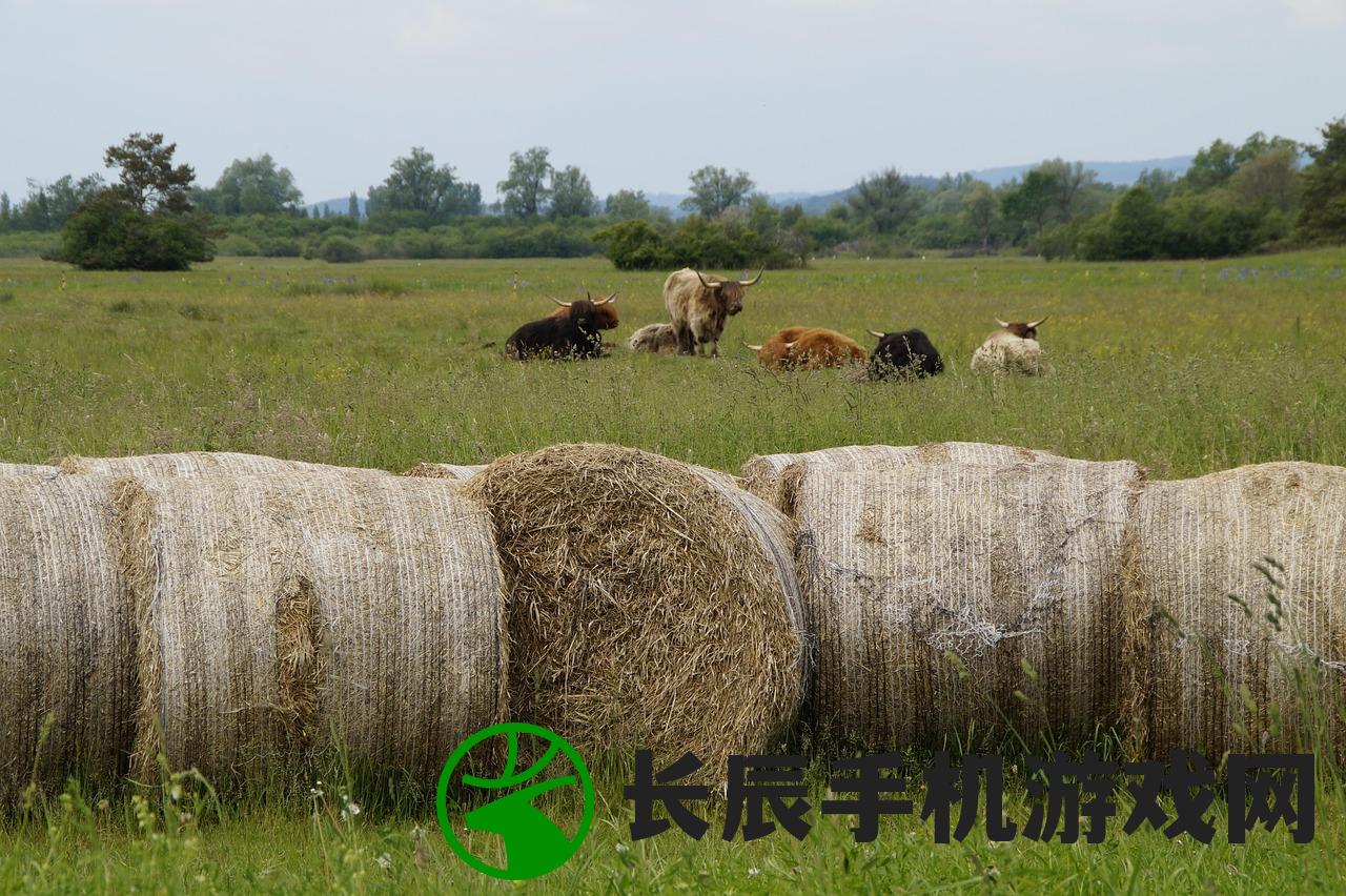 (模拟农场20无限)模拟农场20，农业模拟游戏的新篇章