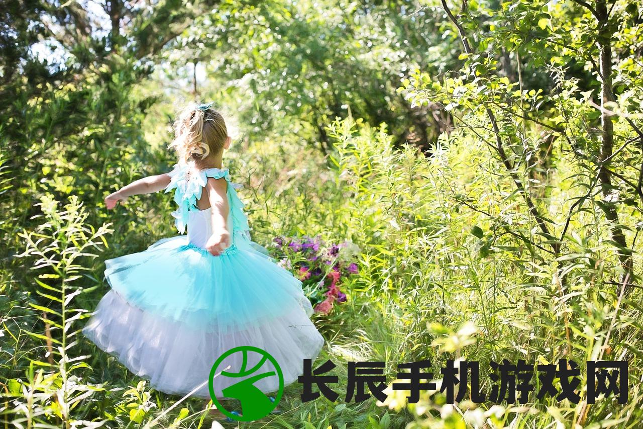 (了不起的飞剑 丹方)了不起的飞剑丹方大全，古籍中的奥秘与传承