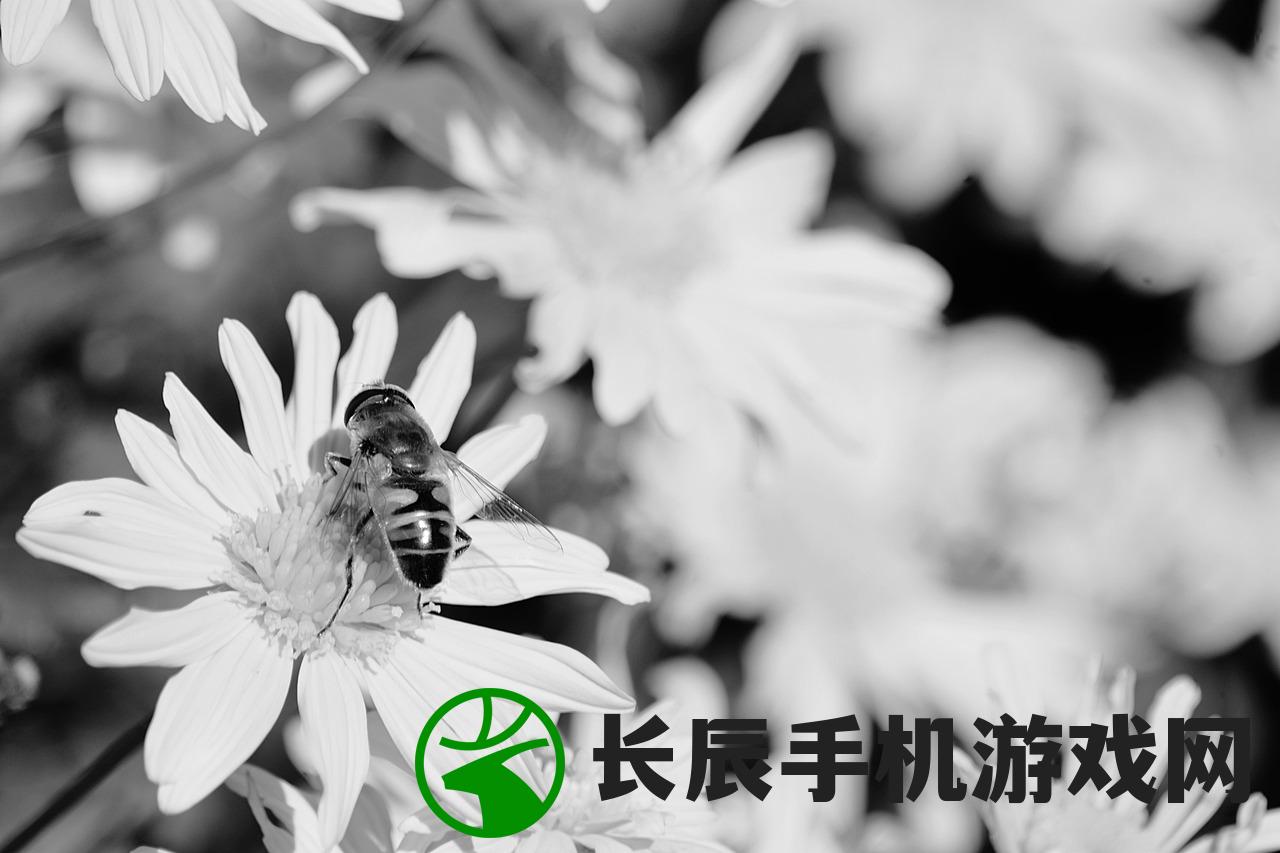 (深渊勇者 紫电)勇者深渊折相思内置菜单的秘密与探索，游戏深度解析及常见问答