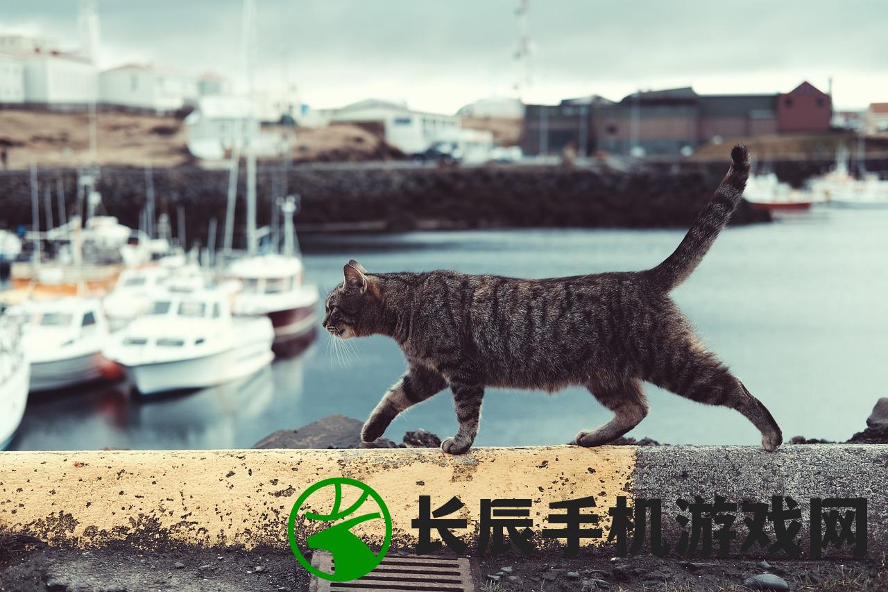 (熊猫人游戏大全)熊猫人游戏，探索与冒险的奇幻之旅