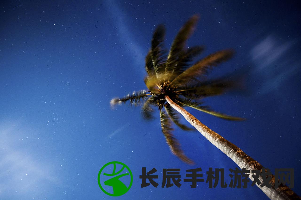 (星空大陆海贼王游戏攻略)星空大陆海贼王游戏，探索无尽海洋的冒险之旅