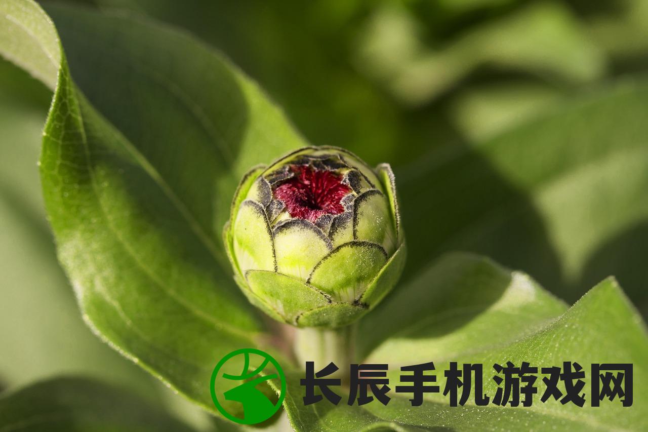 (类似时间花园解谜游戏)与时间花园相似的APP，探索虚拟植物世界的多元应用