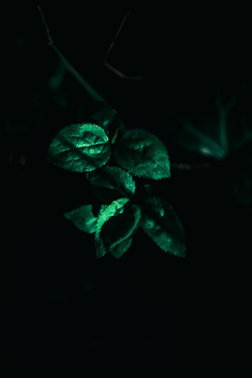 (闪耀暖暖台服官网)闪耀暖暖台服，游戏深度分析与常见问题解答