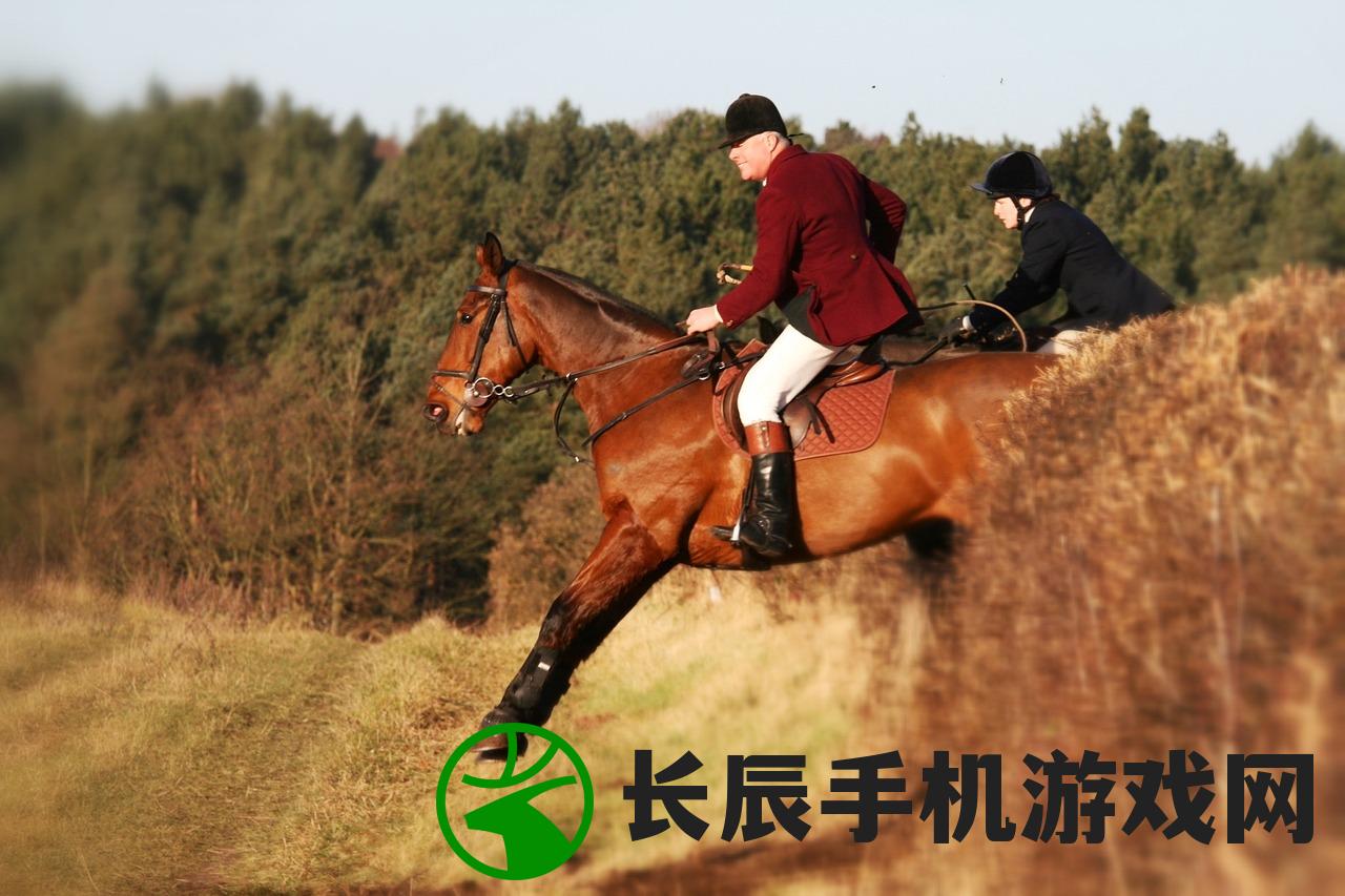 (御剑cg)御剑坚决，古老武术与现代文化的交融