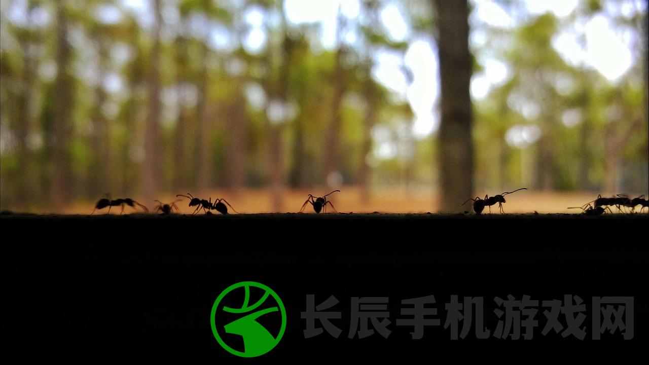 (时光旅人的含义和象征意义)时光旅人的含义与象征，探寻时间的深度与人生的旅程