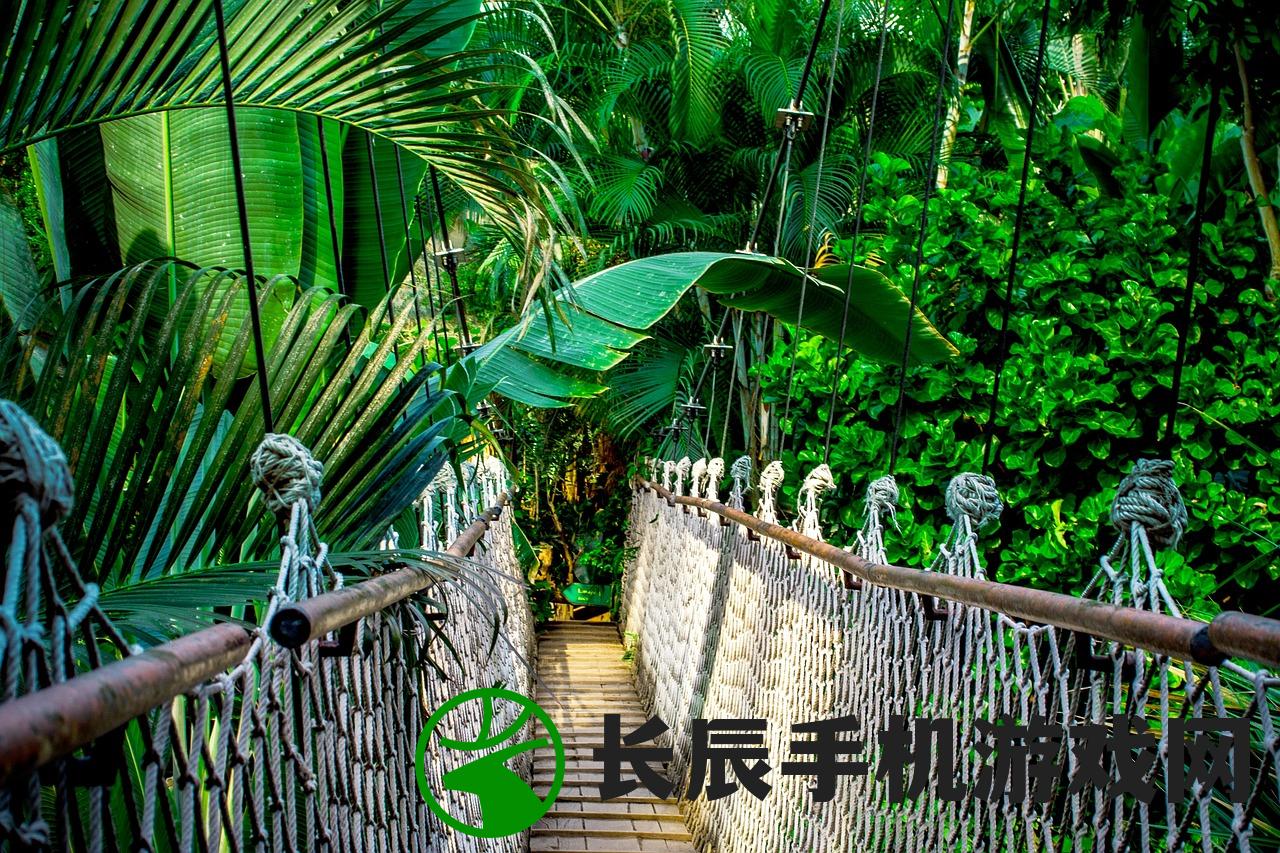 (迷你世界2020旧版本雨林不用)迷你世界2020旧版本雨林探险，回忆与发现