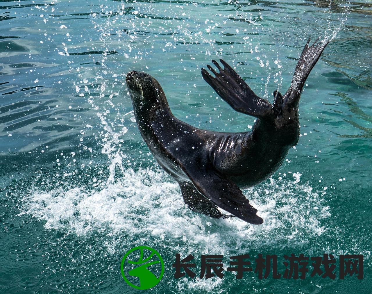 (下潜下潜到海洋最深处)深海探索，下潜下潜——揭示未知的深海世界