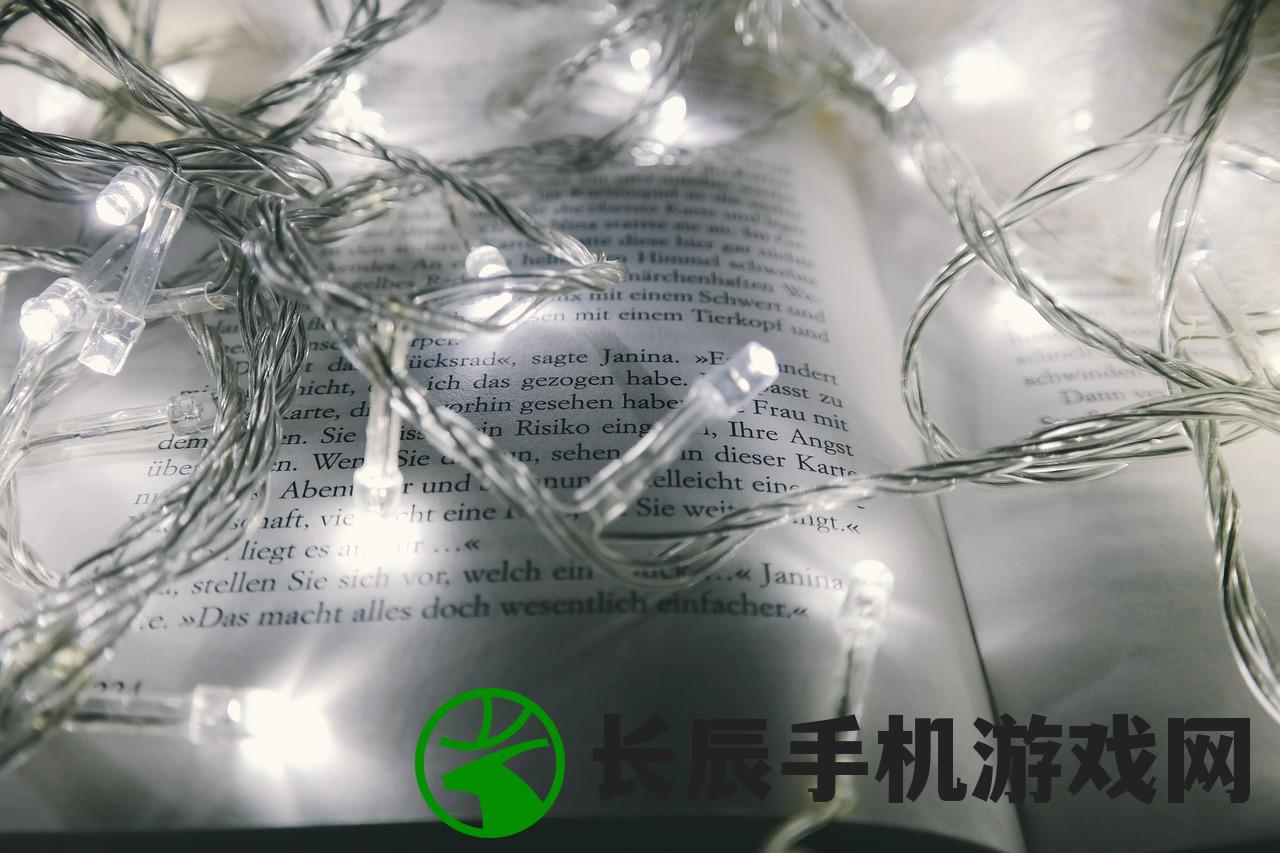 (闪烁之光私人版下载)闪烁之光私人版，游戏深度解析与探索