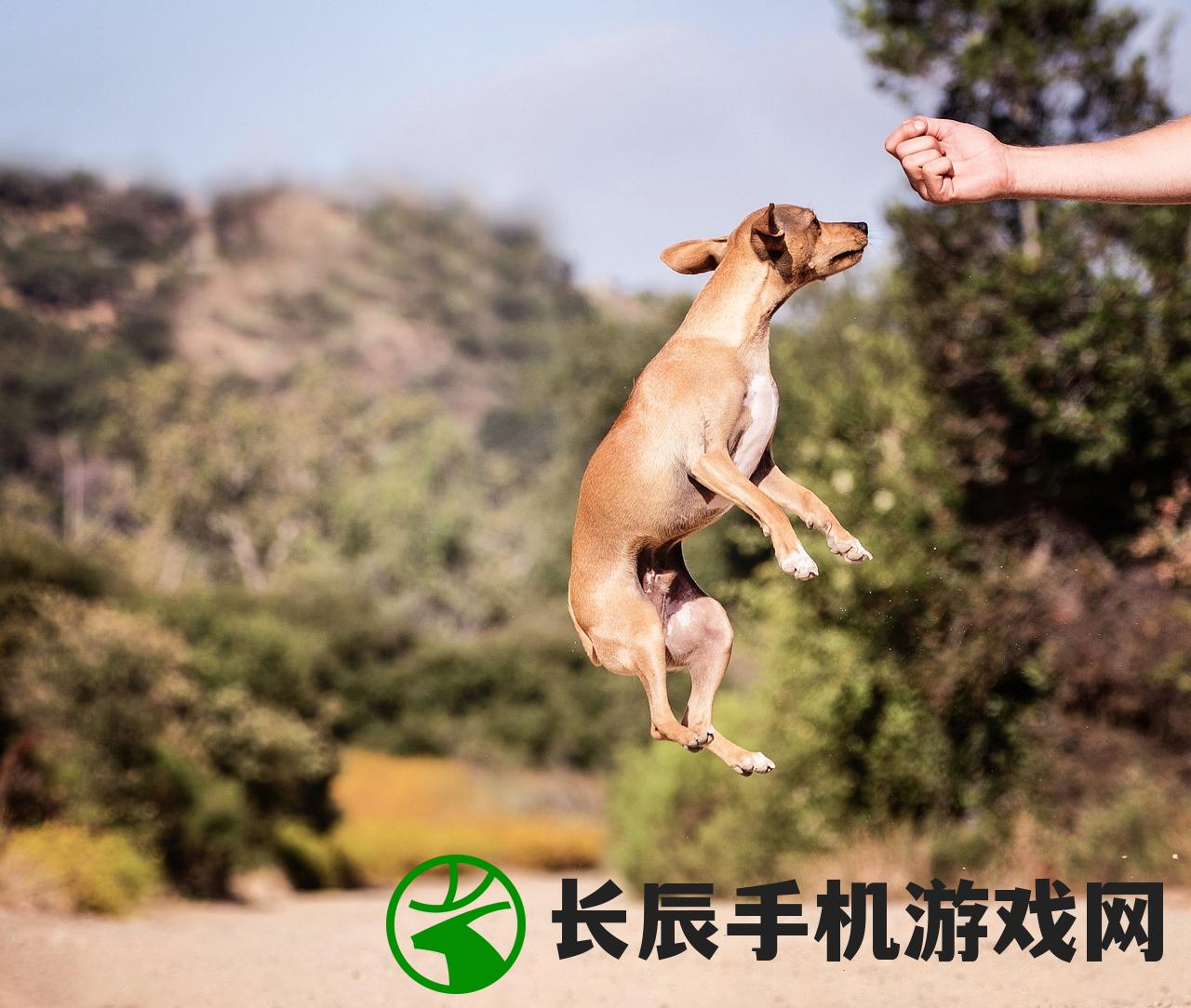 (伊甸之战下架了吗知乎)伊甸之战下架了吗，探究游戏命运与未来发展