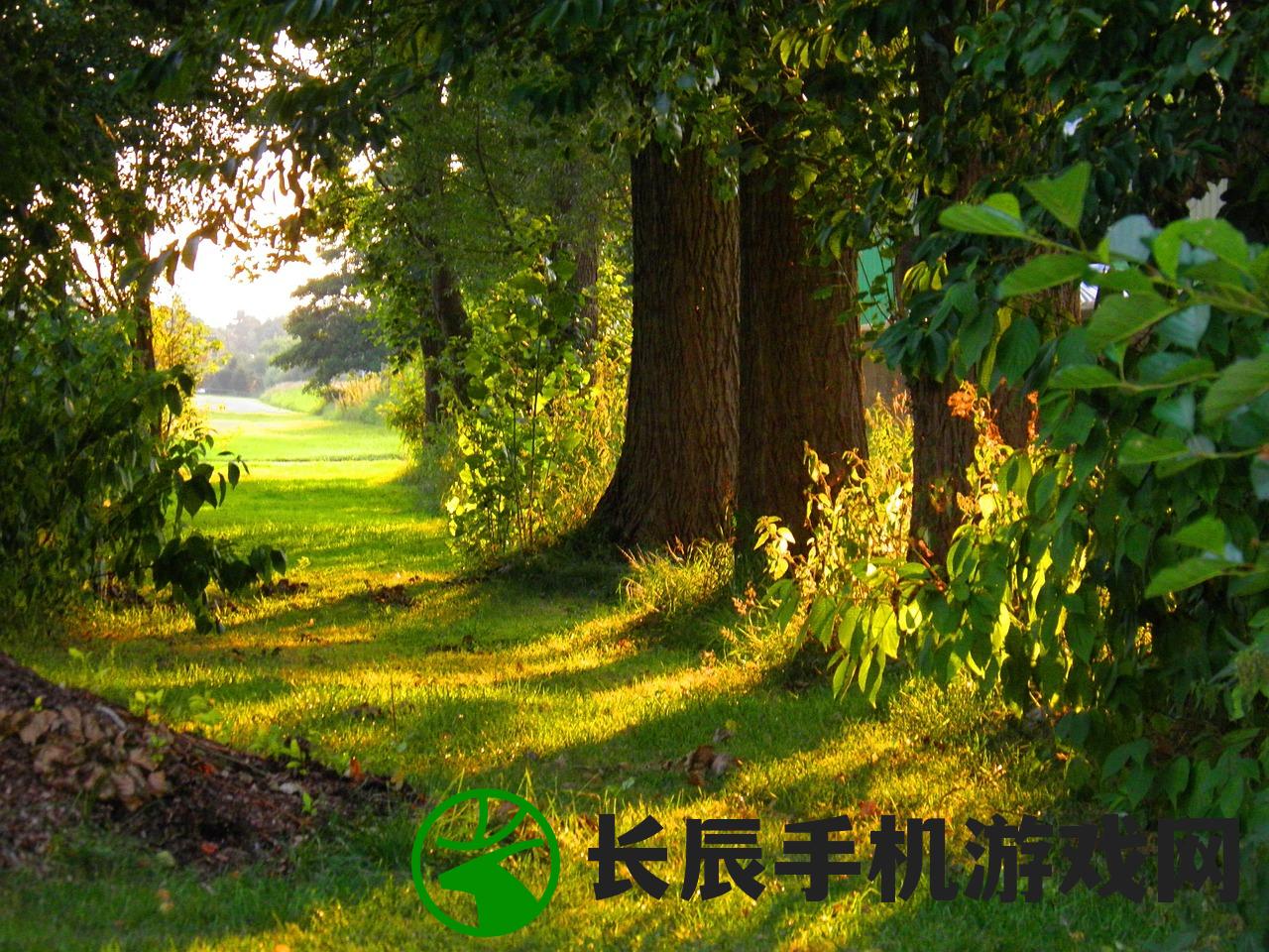 (小小农场免费下载)最新小小大农场免广告版，游戏介绍与常见问题解答