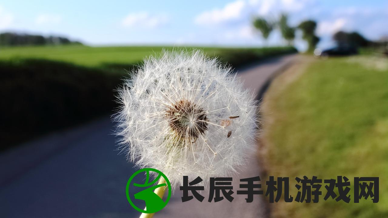 (苍茫之境美得纯净的句子)苍茫之境，纯净之美的无尽探索