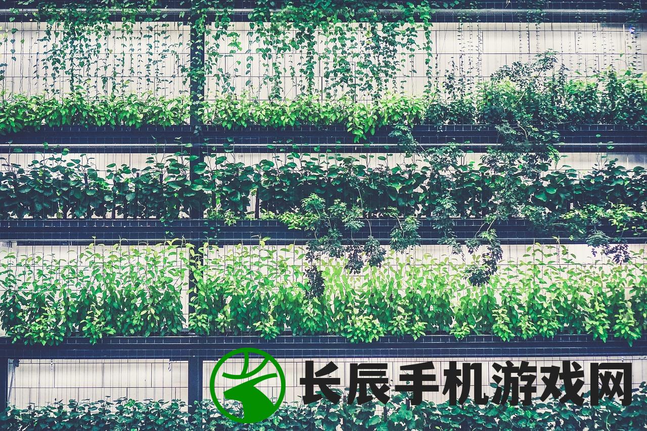(天天农庄官方版app)天天农庄官方版，体验田园生活的全新视角