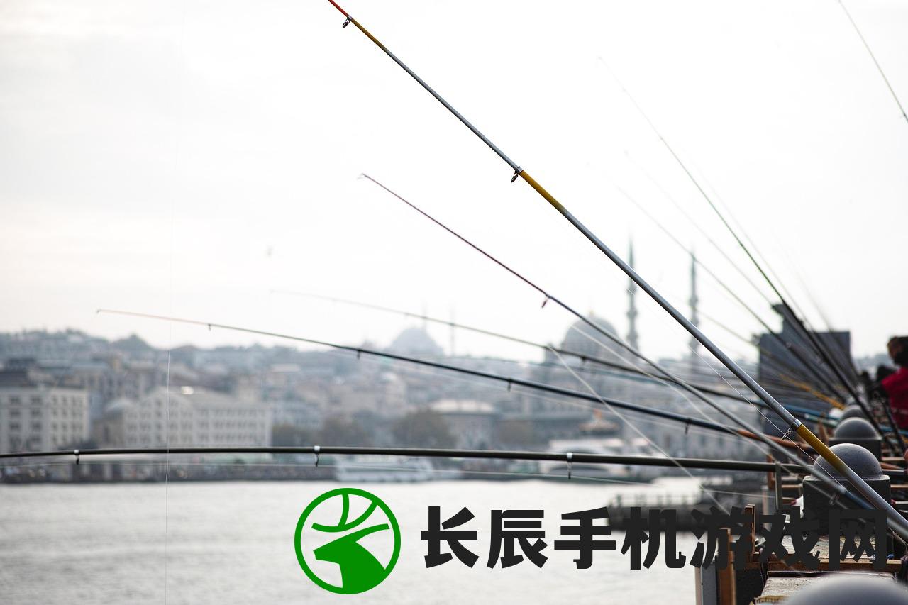 (橡胶射击无限金币)射击橡胶人的游戏名字及深度解析