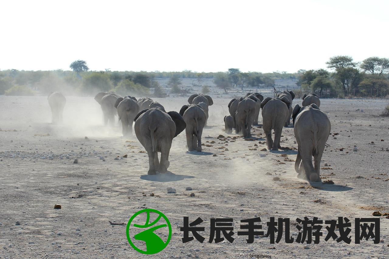 (钢铁王座TXT)钢铁王座，权力的象征与战争的硝烟