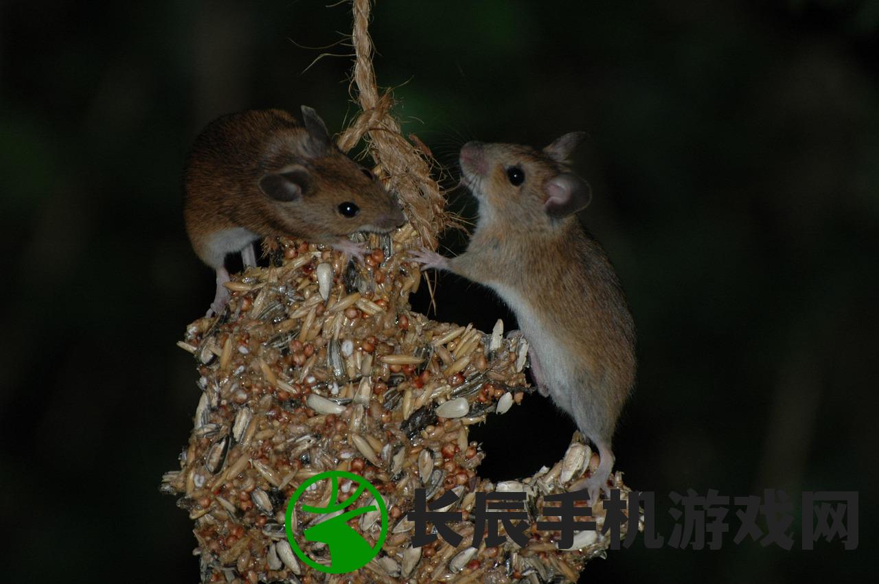 (热血篮球怎么放大招带图)热血篮球大招攻略，如何轻松放大招？
