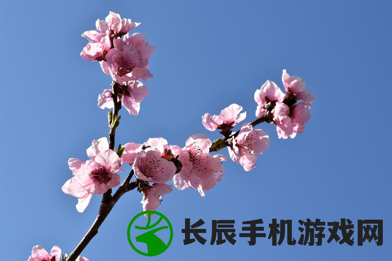 (新三生三世十里桃花手游2024)新三生三世十里桃花手游，深度解析与常见问题解答