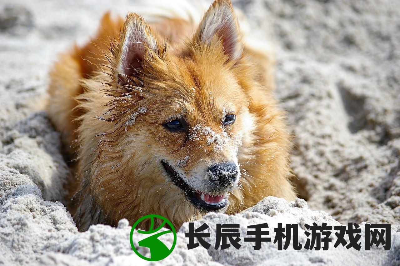 (动物朋友手游下载)动物朋友手游，一场虚拟世界的动物探险之旅