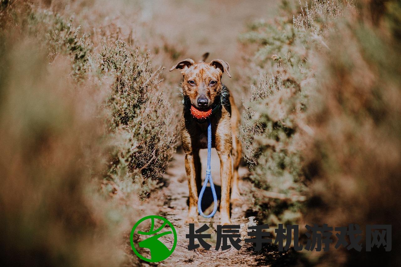 (野旷之犬)荀鹿游戏app旷野之狩，探索移动狩猎游戏的新纪元