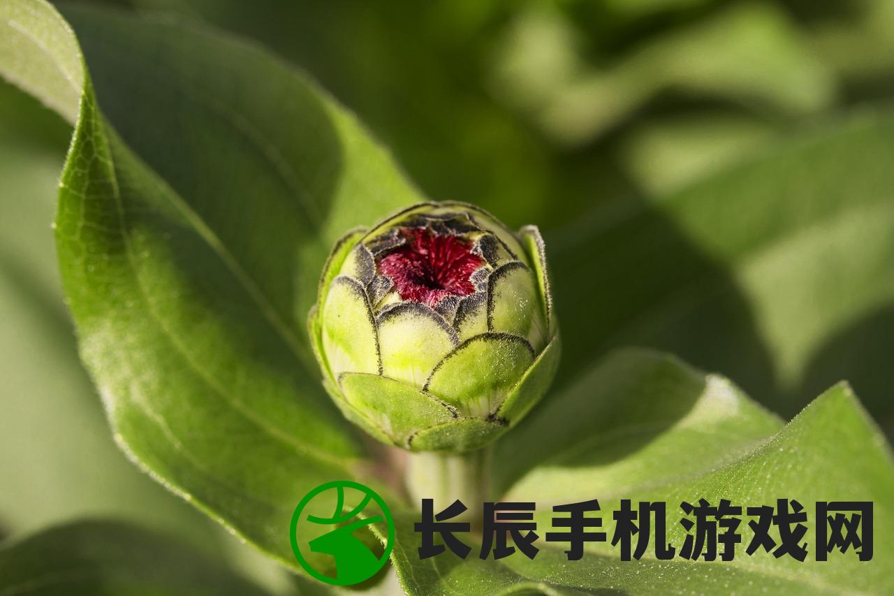 (齐天战神2为什么下架了呢)齐天战神2下架原因深度解析