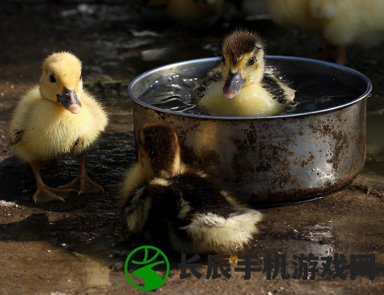 (发际线有救吗)发际线新生，拯救边缘危机的秘密武器