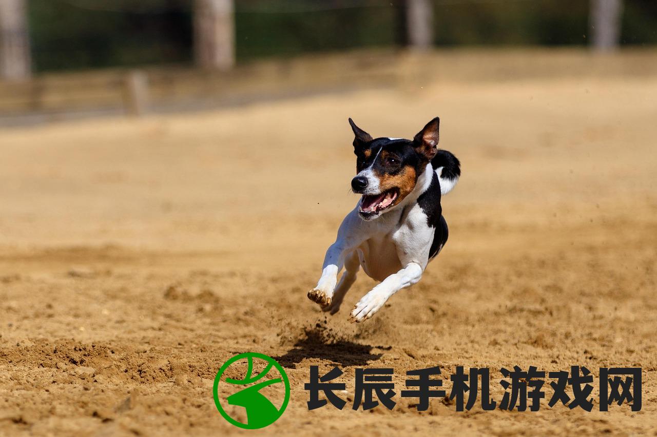 (地下城的怪)这个地下城有点怪角色——深度解析与常见问题解答