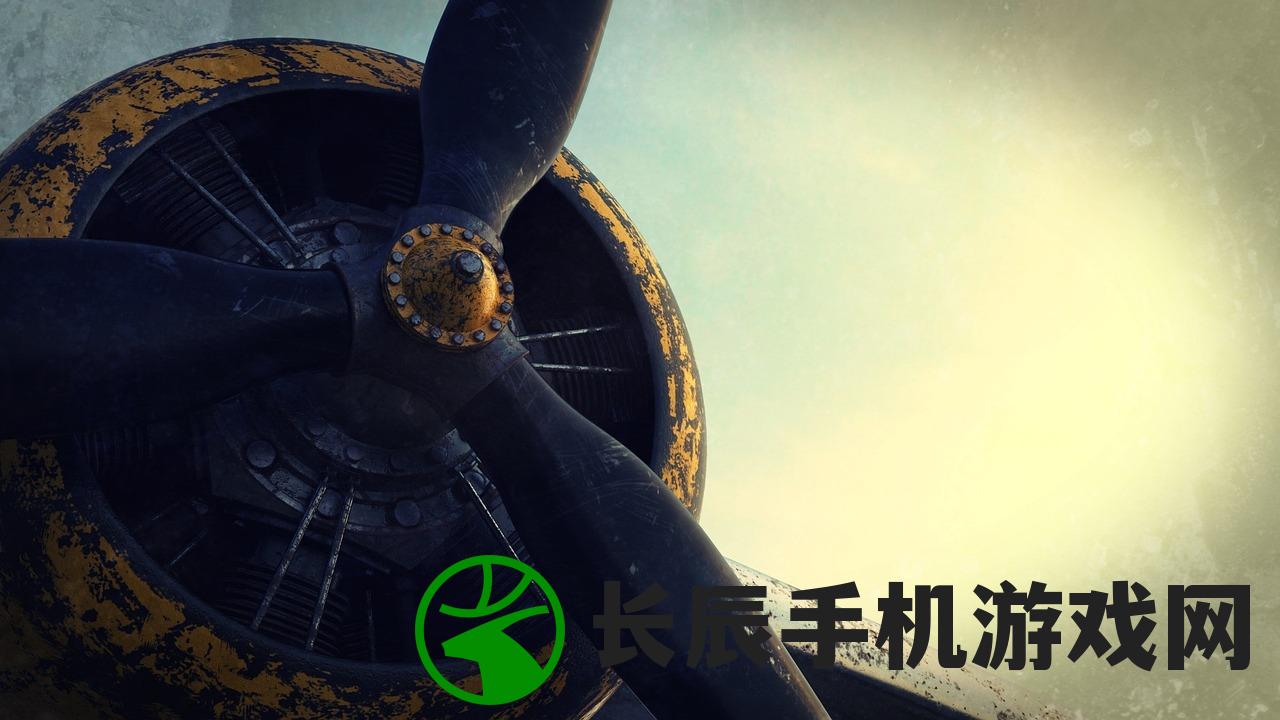 (乱世兵燹)乱世兵痞，历史背景下的复杂现象解析