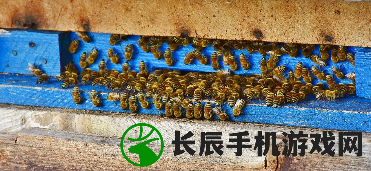 (暴走玩具兵怎么玩不了了视频)暴走玩具兵无法运行？全面解析问题原因与解决方案