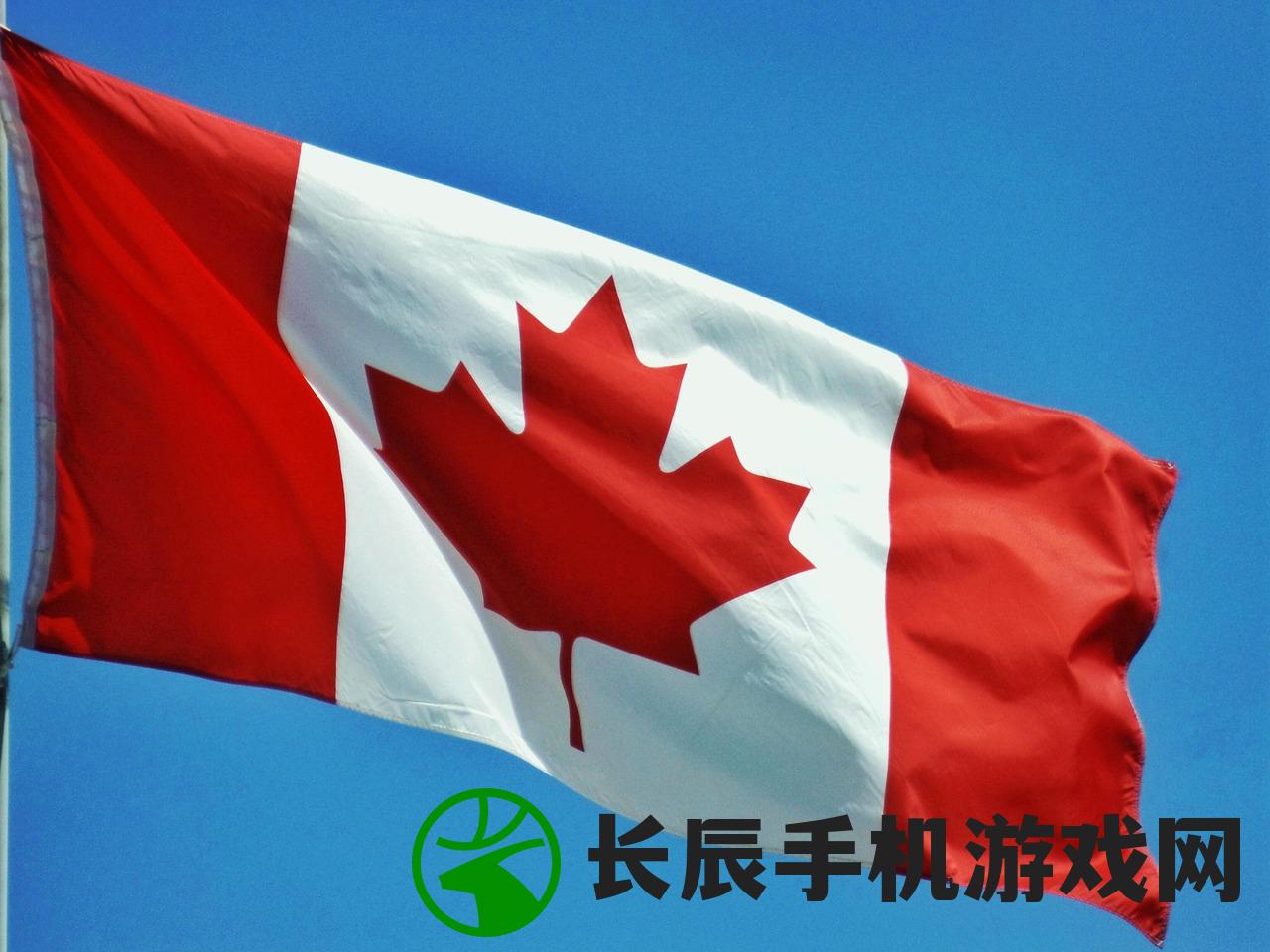 (大圣轮回现在叫什么名字来着)大圣轮回，新名字揭晓与背后的故事