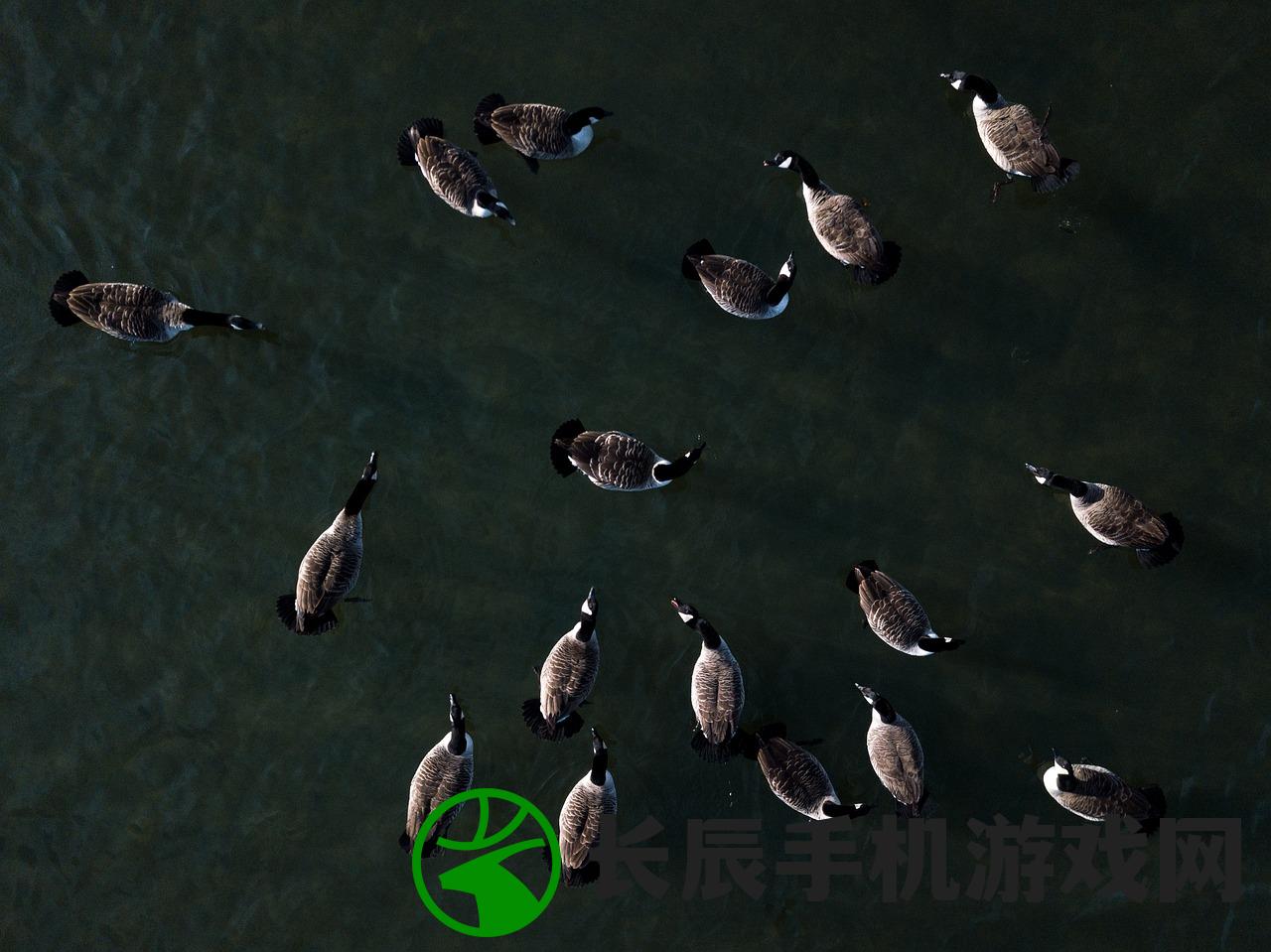 (放置修仙录门派攻略)放置修仙录攻略大全及常见问题解答