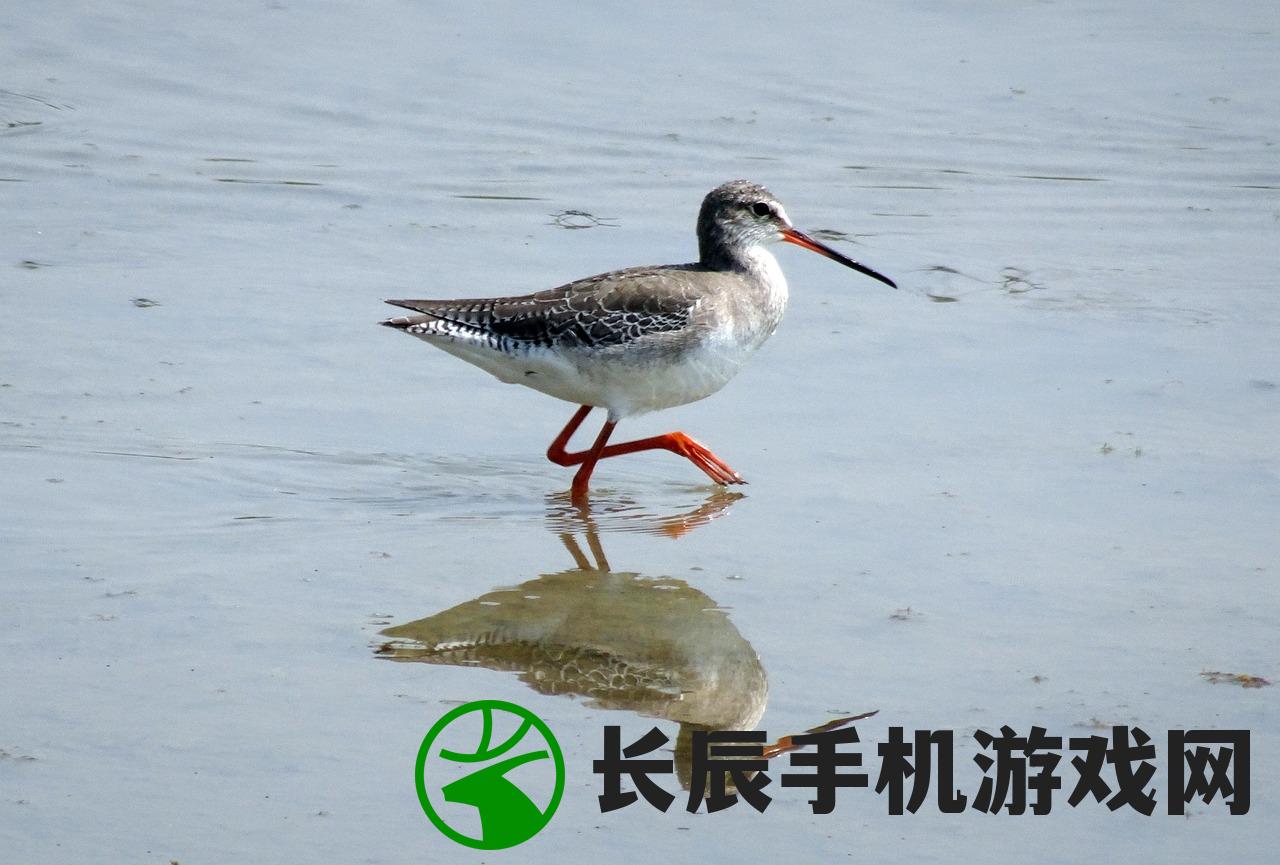 (运输大亨无限金币)运输大亨帝国版，无限钞票的魅力与挑战