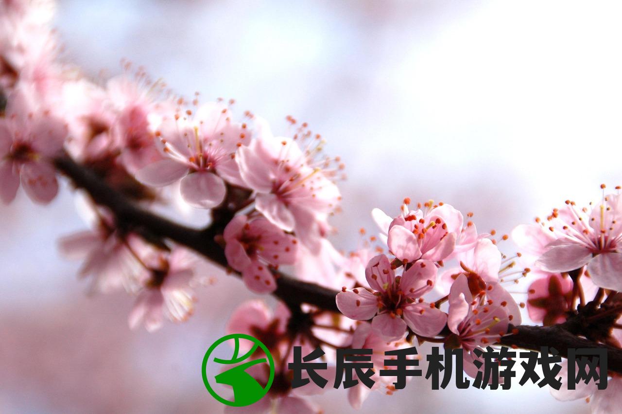 (九剑魔龙传最新版本是多少)九剑魔龙传最新版本，全新体验与深度解析