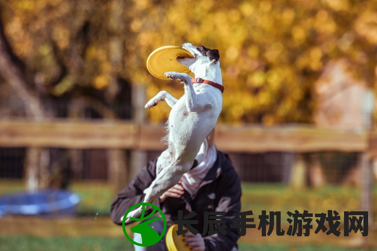 (养宠物游戏推荐)养宠物游戏，虚拟世界中的宠物情缘
