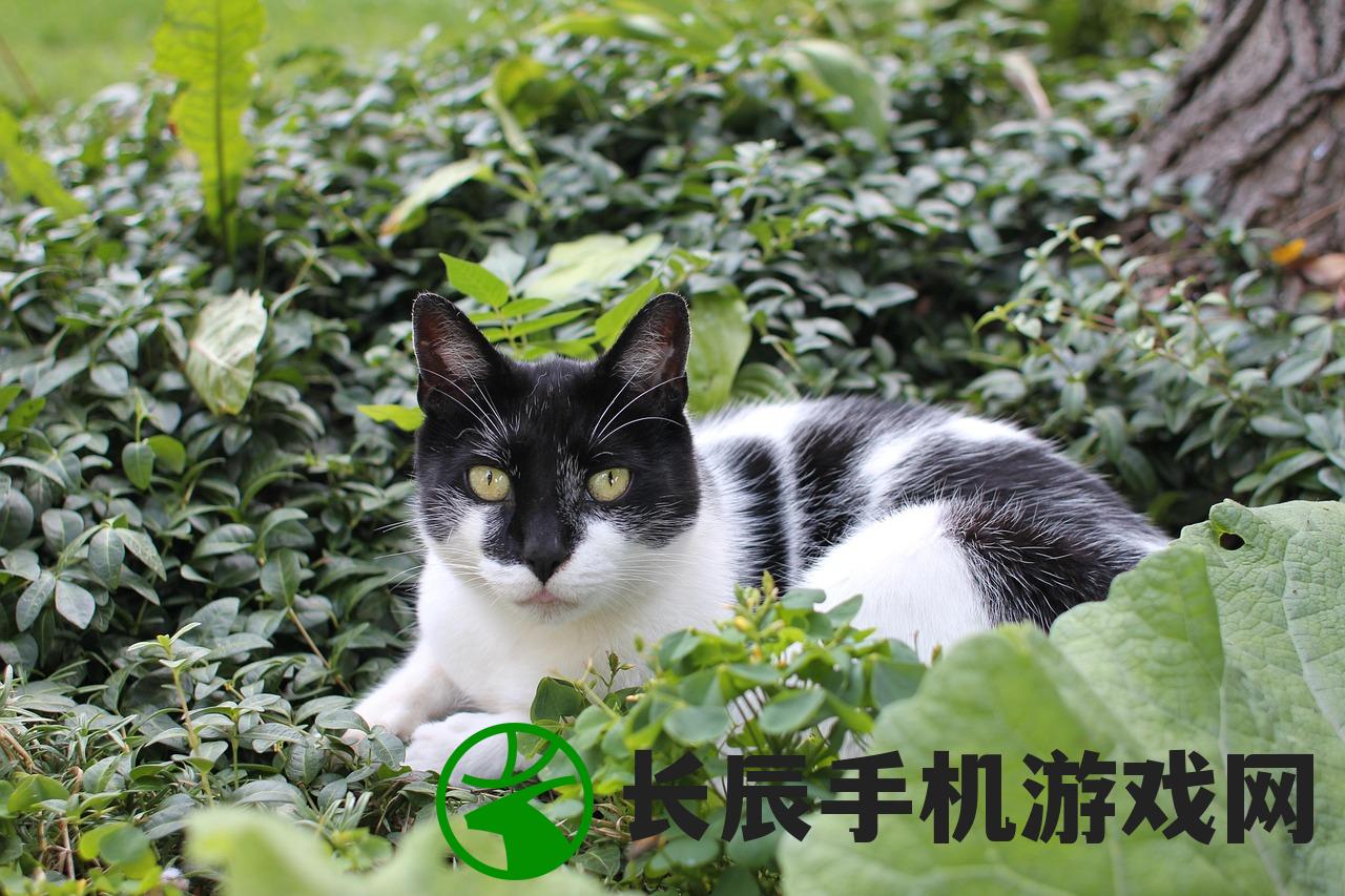 (天神镇物语手游)天神镇物语游戏，探索神秘世界的奇幻之旅