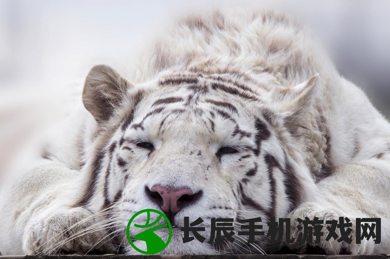 (一战称王传奇攻略图文)一战称王传奇攻略大全及常见问答解析