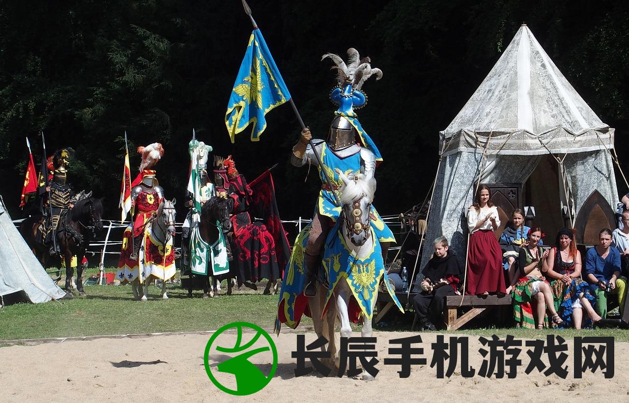 (魔法战士的魔法)魔法战士骑士的战斗策略与技巧