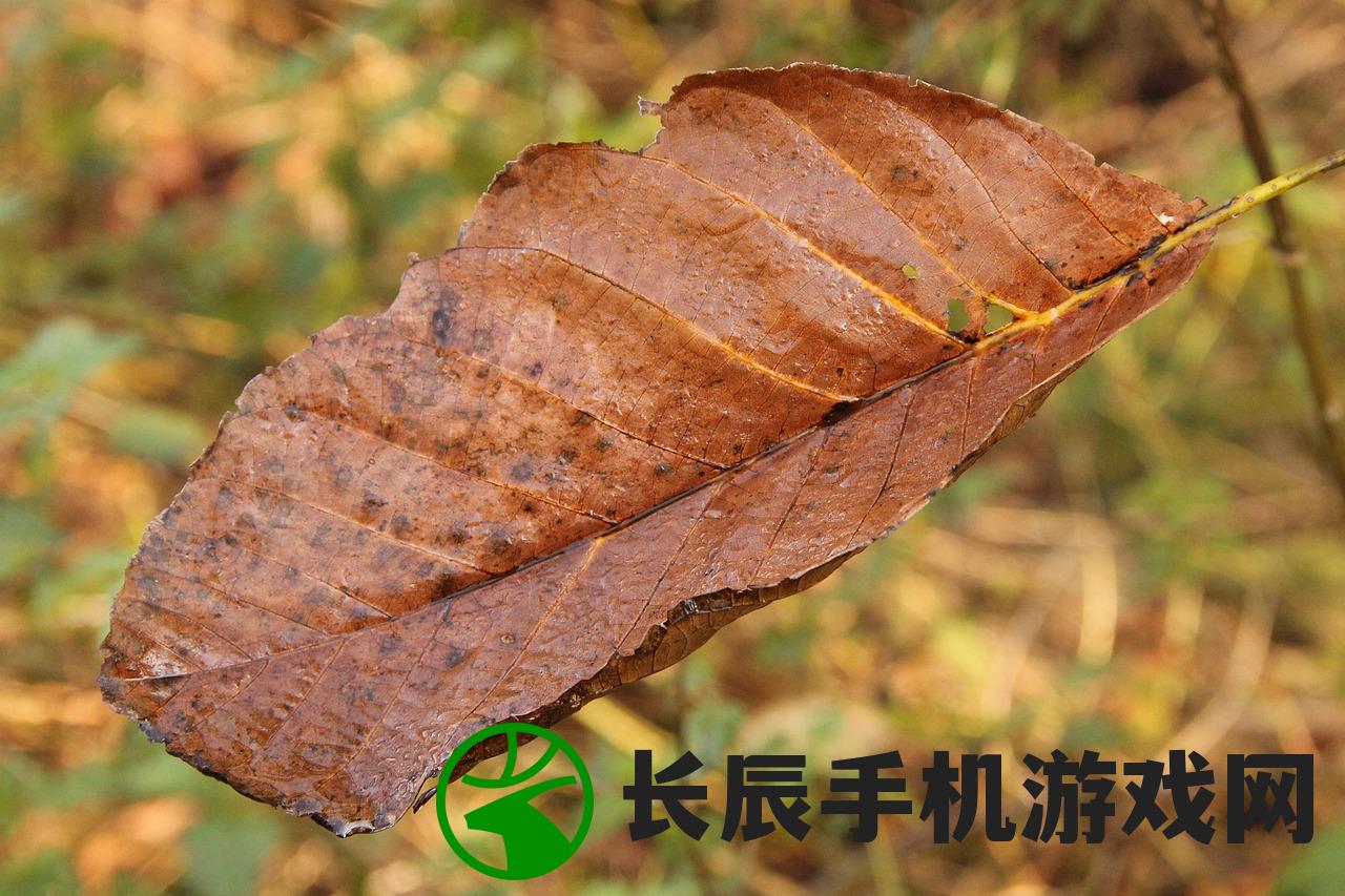 (冰封蜘蛛危害的树叶啥时候能落叶呢)冰封蜘蛛危害与树叶落叶时间探究