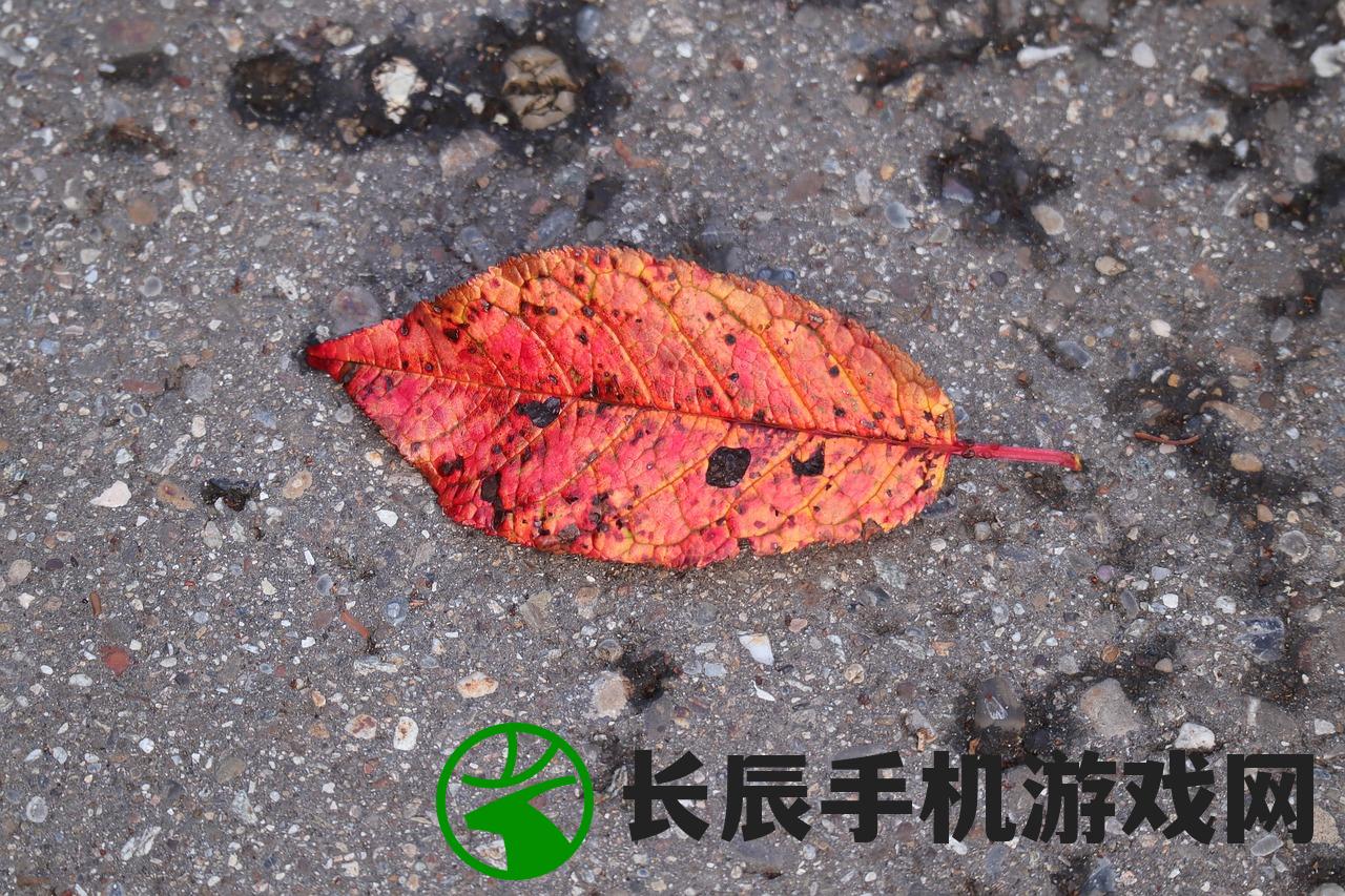 (冰封蜘蛛危害的树叶啥时候能落叶呢)冰封蜘蛛危害与树叶落叶时间探究