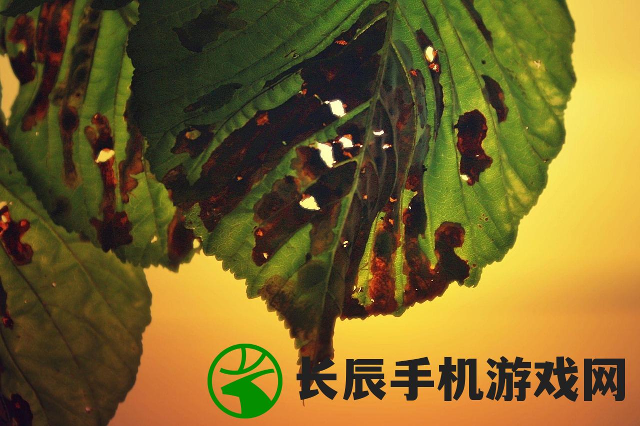 (冰封蜘蛛危害的树叶啥时候能落叶呢)冰封蜘蛛危害与树叶落叶时间探究