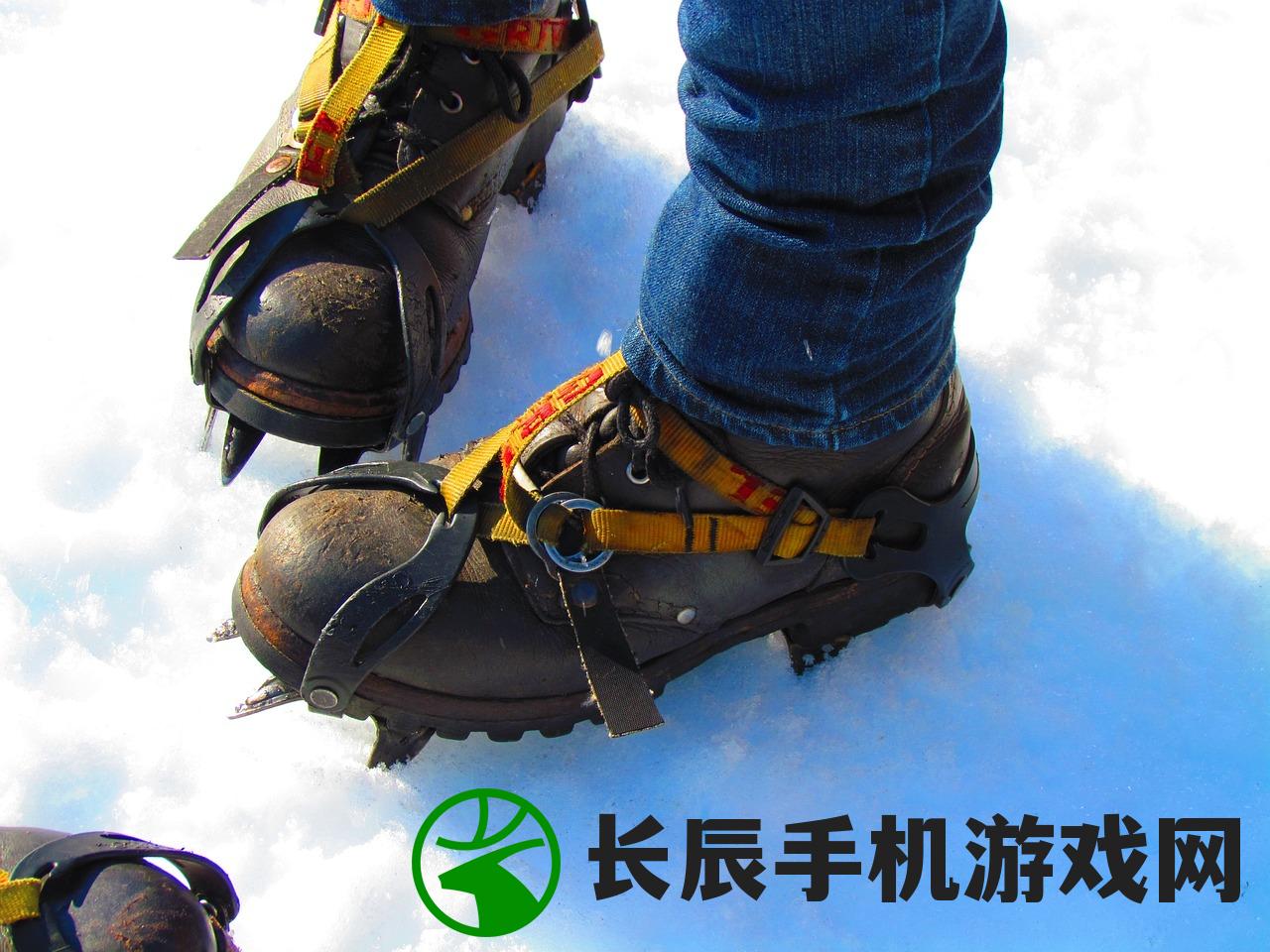 (2024梦幻各区金价查询工具)梦幻西游各区金价展望，洞悉未来的黄金价值（2024版）