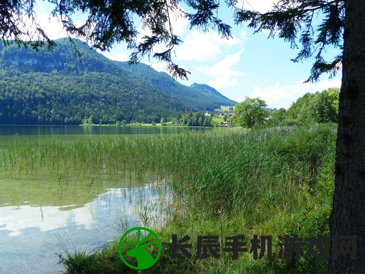 (挨饿荒野菲律宾海岛攻略 分布图)挨饿荒野，菲律宾海岛攻略大全及常见问题解答