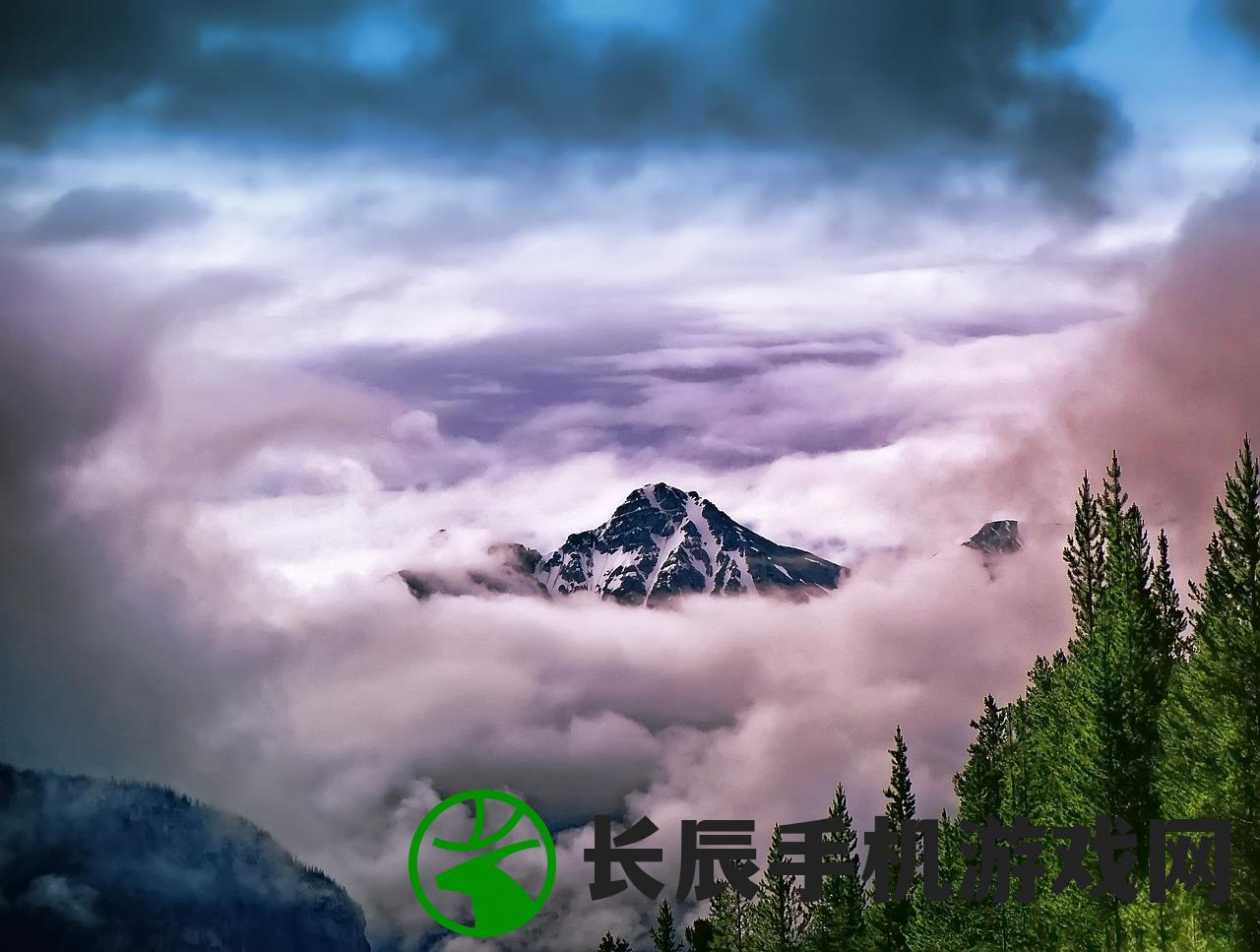(荒野猎人百科百度)荒野猎人百科，深度解析与常见问题解答