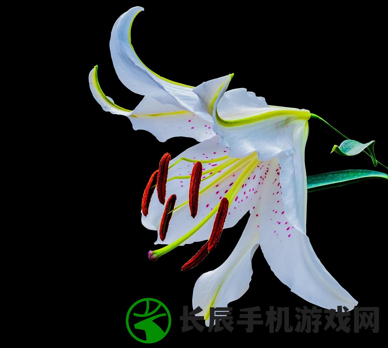 (幻灵仙境所有版本)幻灵仙境老版本，重温经典，探寻仙侠世界